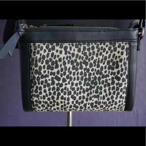 Steve Madden crossbody bag